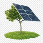 Representação conceitual de sustentabilidade: Uma árvore verde com copa formada por painéis solares azuis, sobre um pequeno gramado redondo, contra um fundo transparente.
